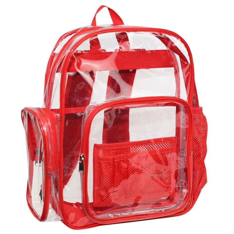 Clear Backpack 3