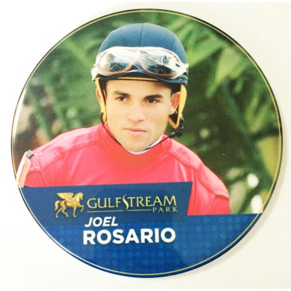 Photo Coaster Absorbent Stone - Round 1