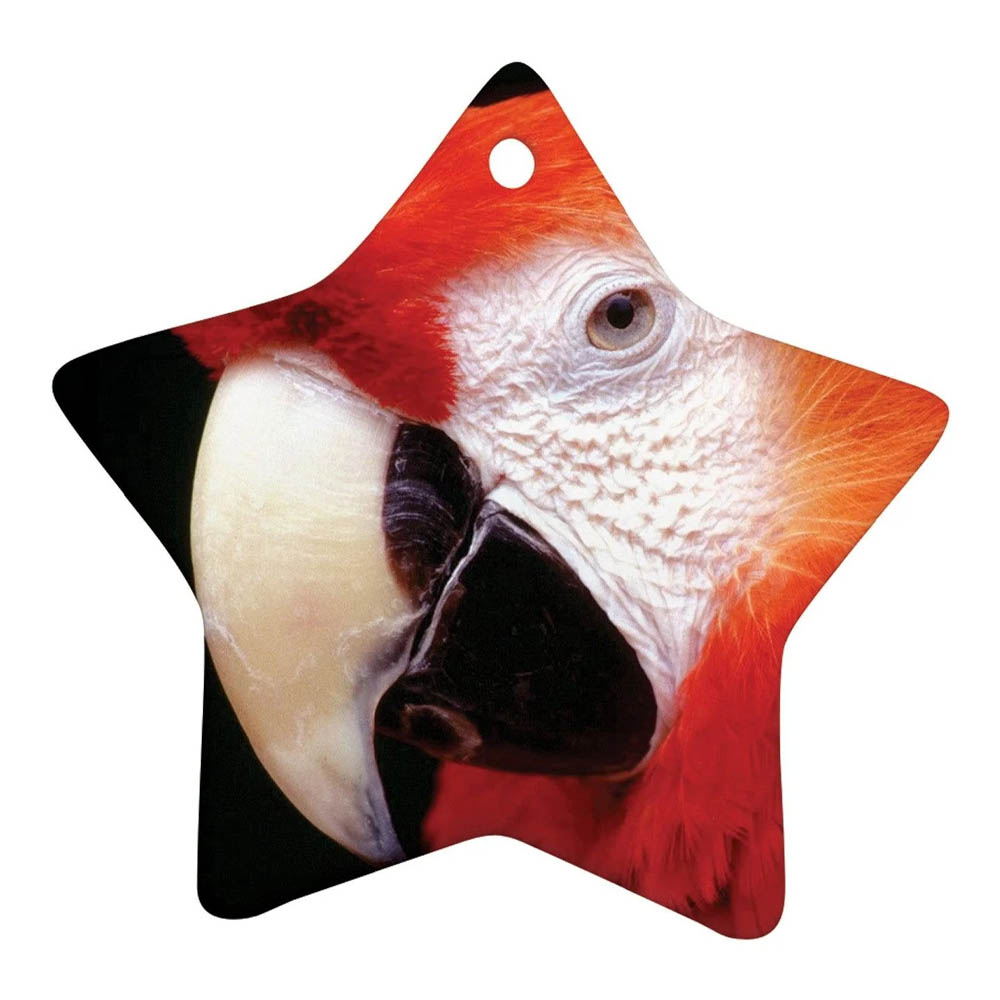 3" Full Color Ceramic Star Ornament 3