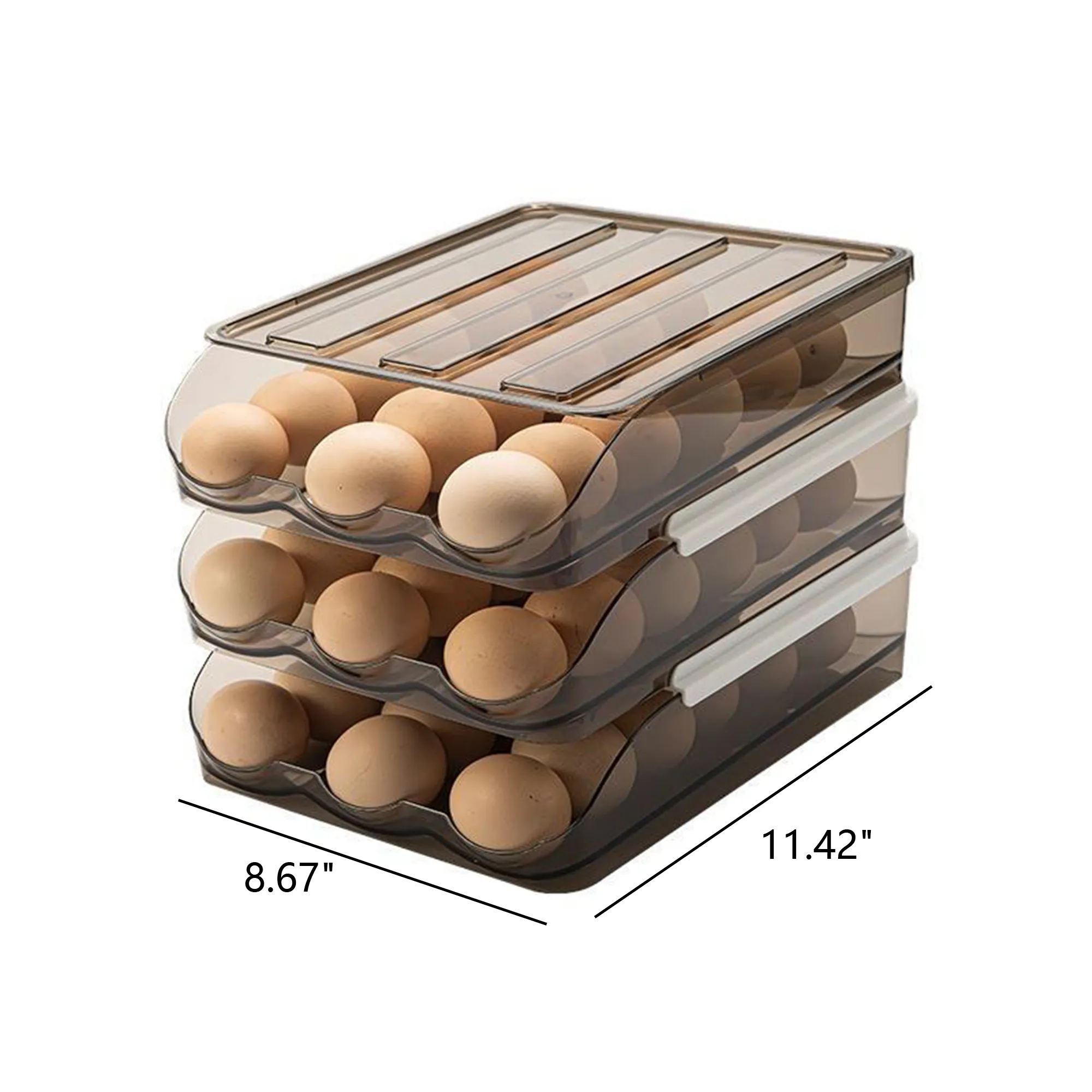 Egg Storage Box 4