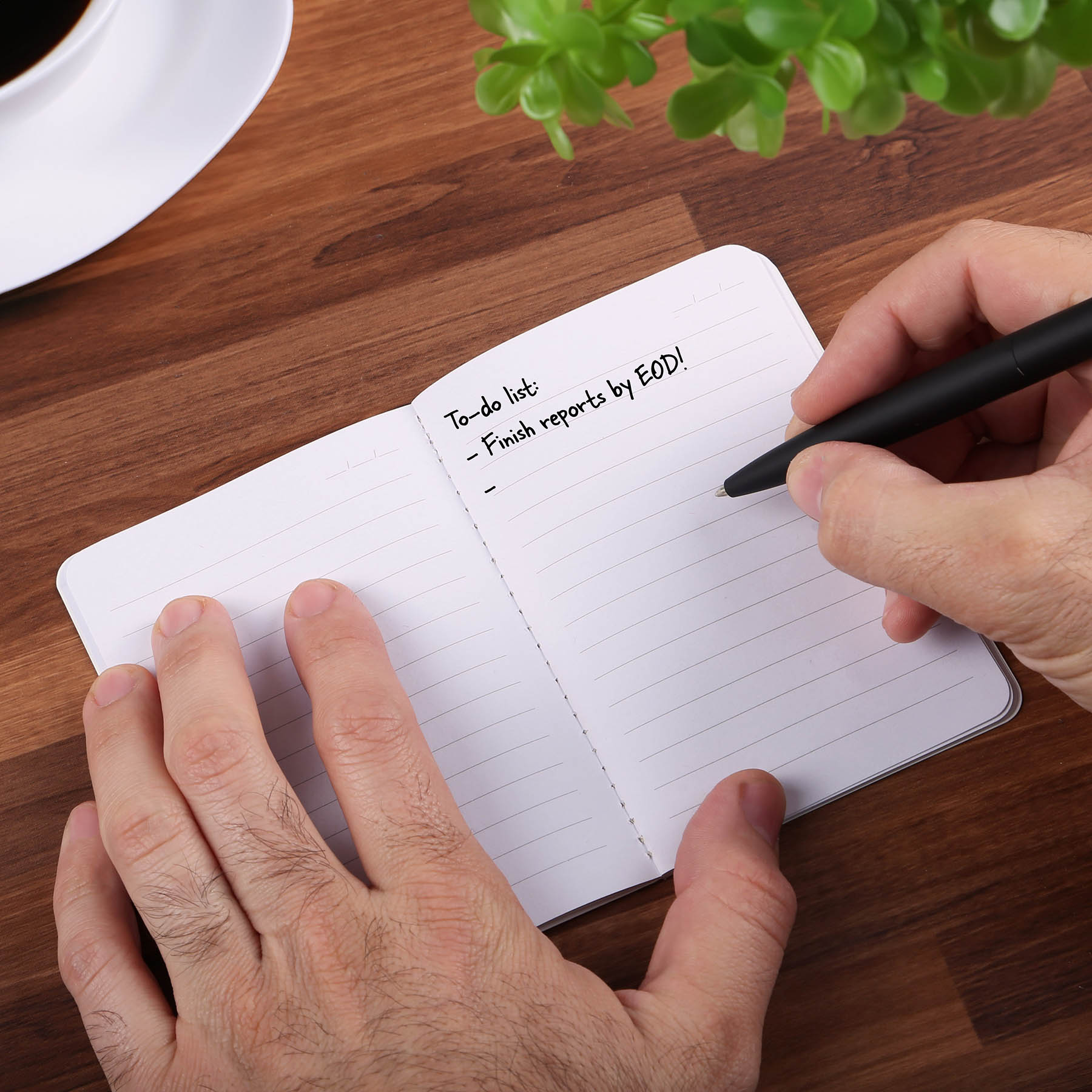 Harvest Fruit Fiber™ Pocket Notebook 7