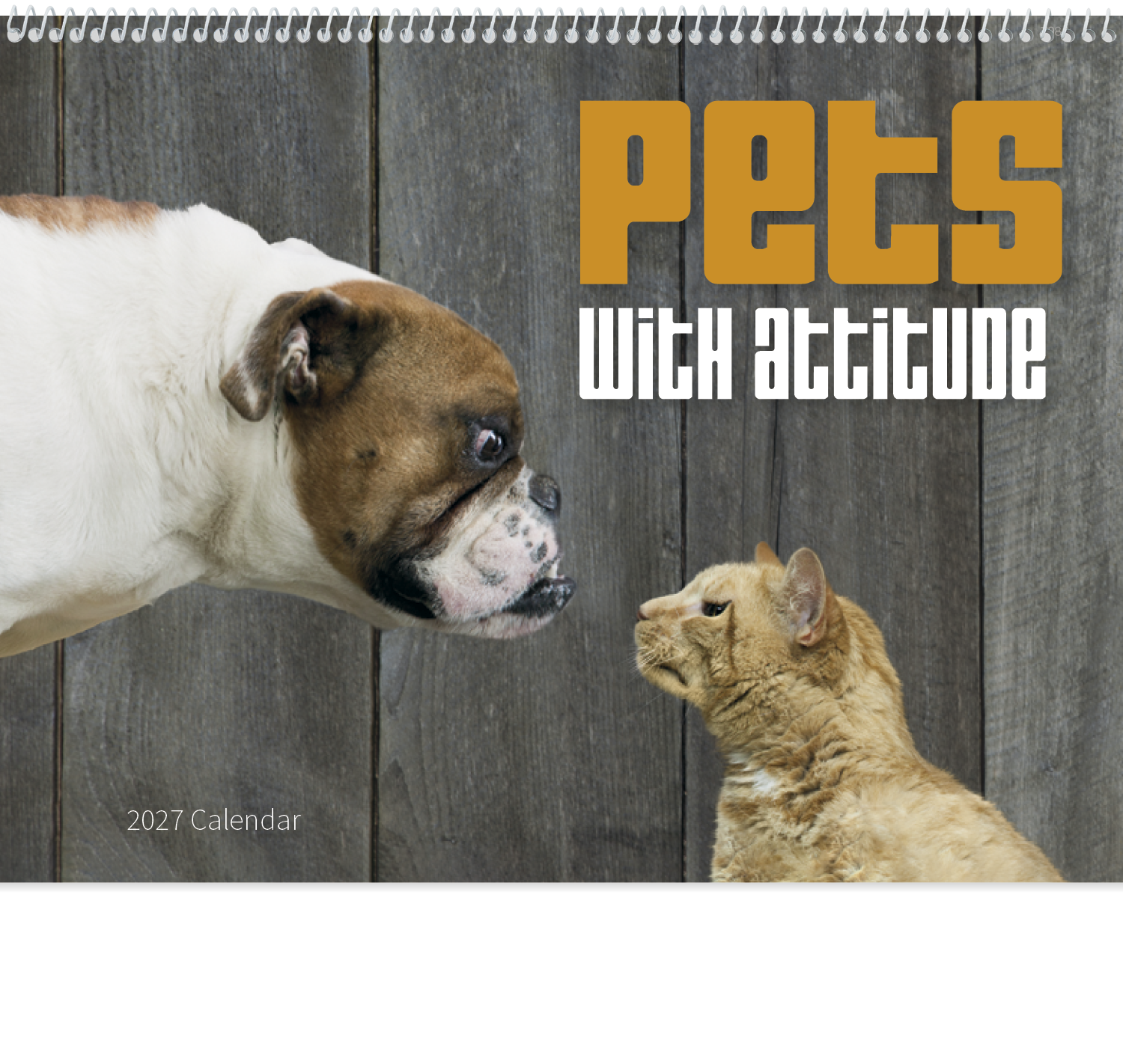 Good Value™ Pets with Attitude - Spiral Calendar 31