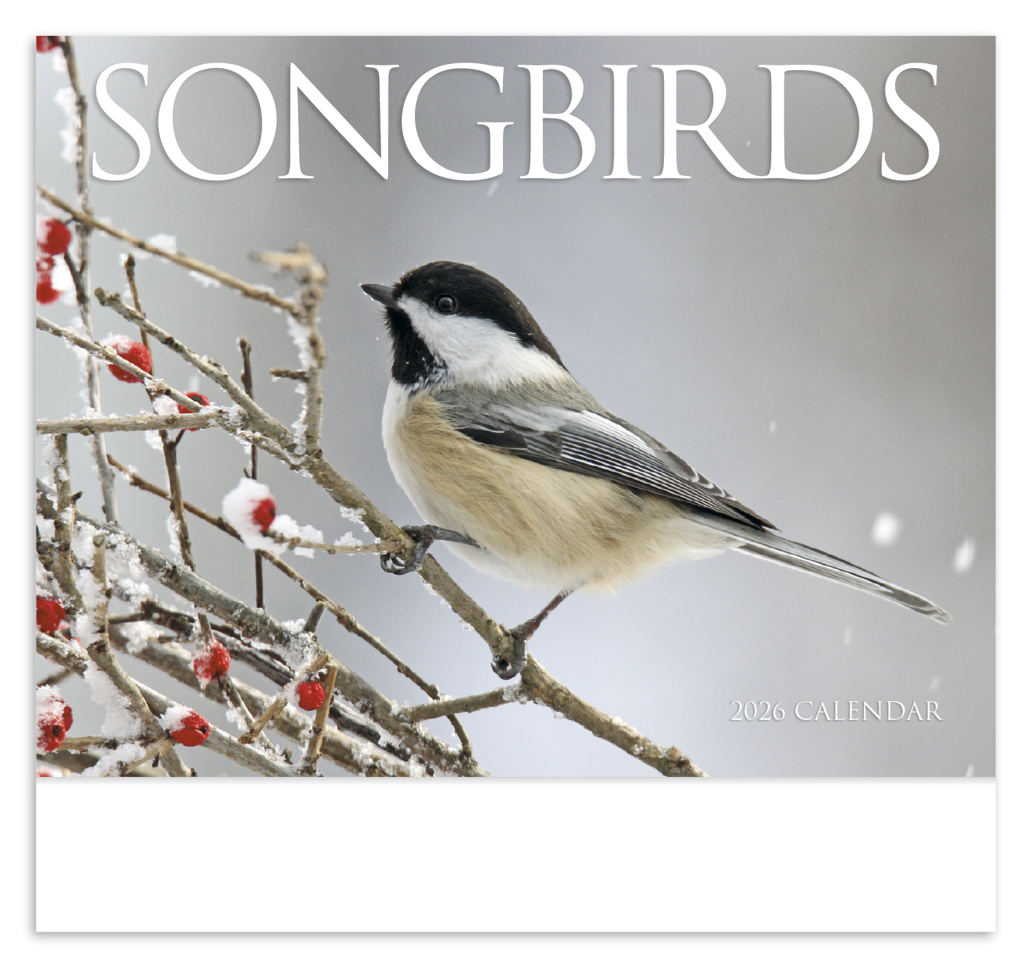 HotLine® Products Songbirds Appointment Calendar - Stapled 38
