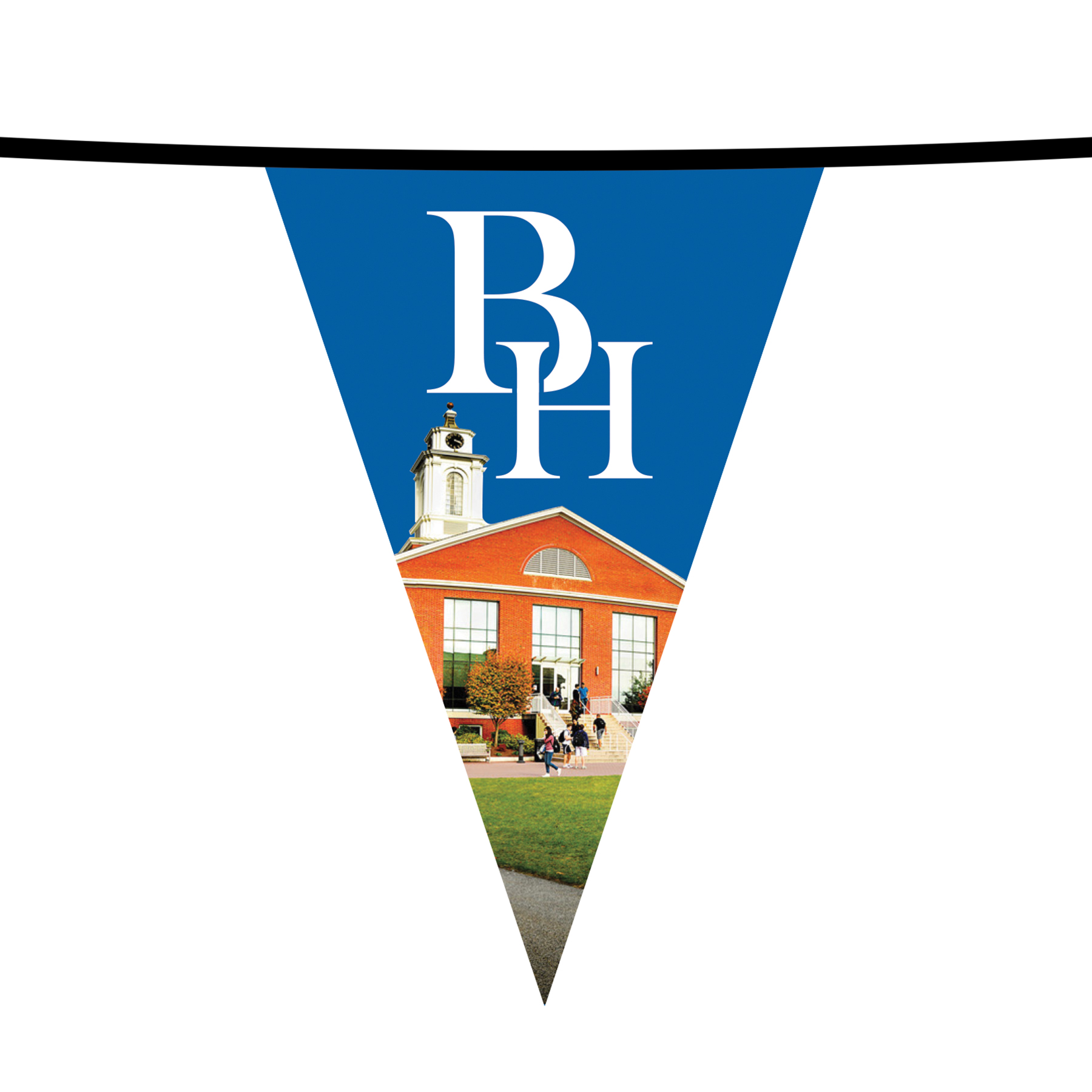 60' PVC Triangular Pennant Strings 5