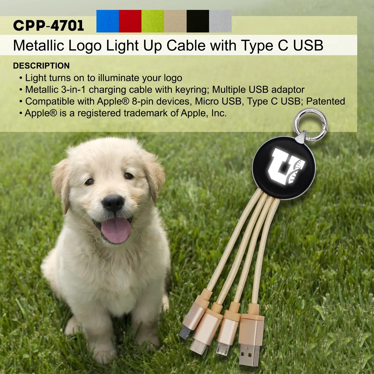 Metallic Logo Light Up Cable with Type C USB 17