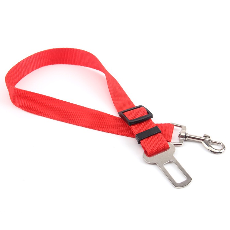 Medium and Large Dog Traction Rope 5