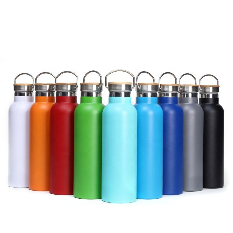 Stainless Steel Vacuum Insulated Bottle 20oz 8