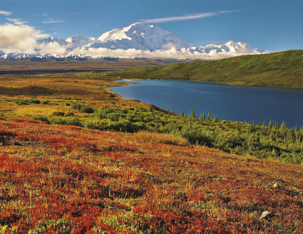 Triumph® Calendars National Parks Calendar 2