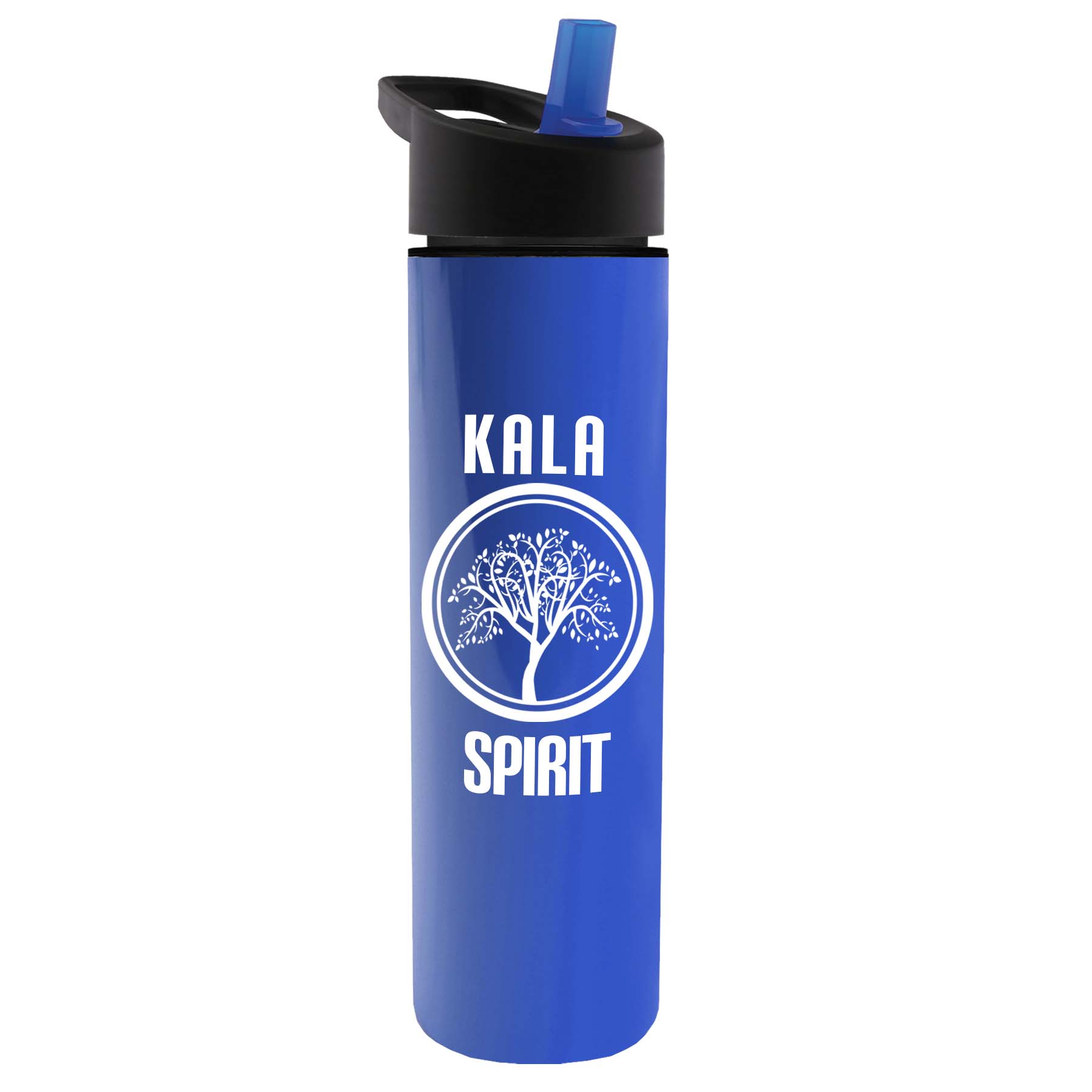 The Chiller - 16 oz. Double Wall Insulated Bottle with Flip Straw 15