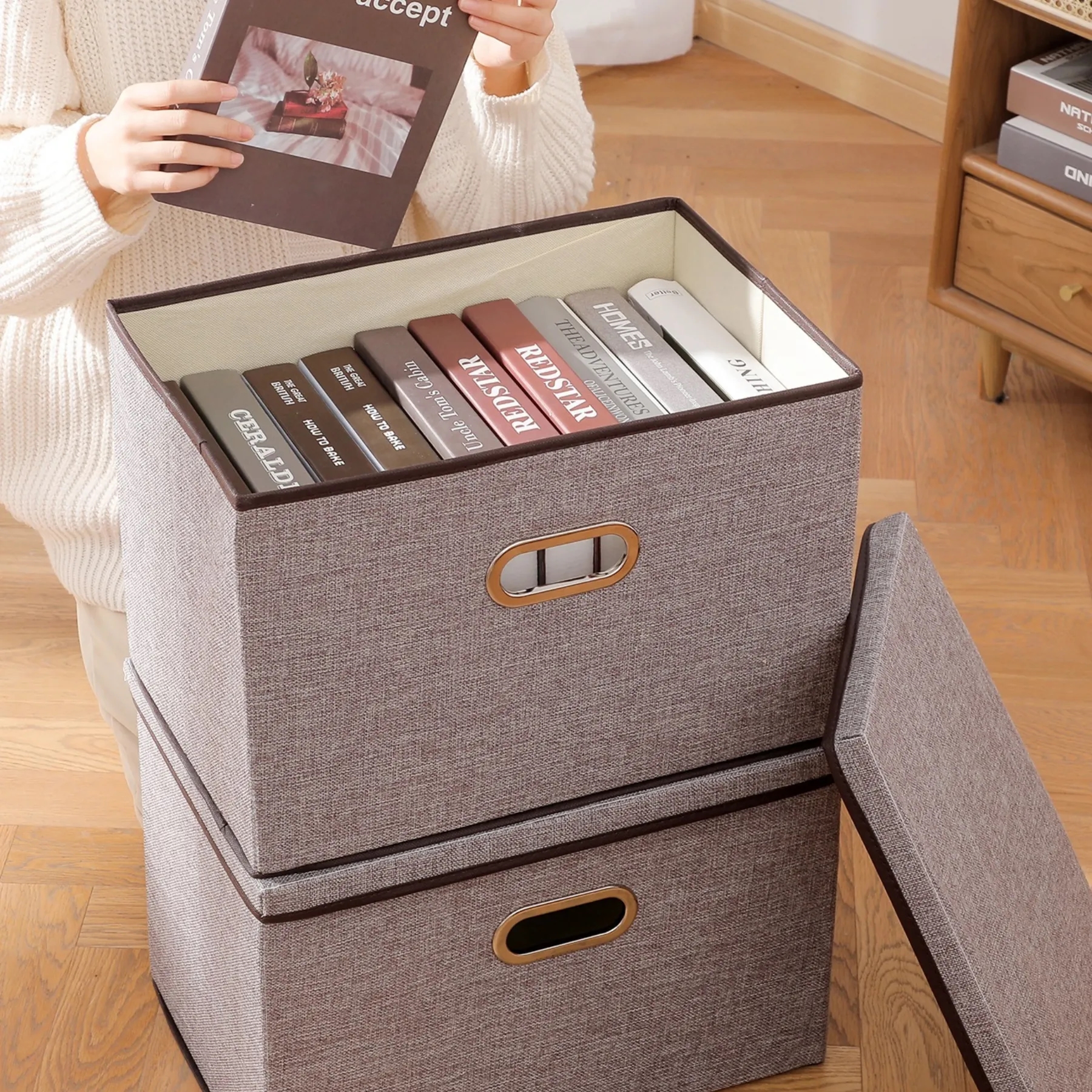 Storage Bins with Lids 2