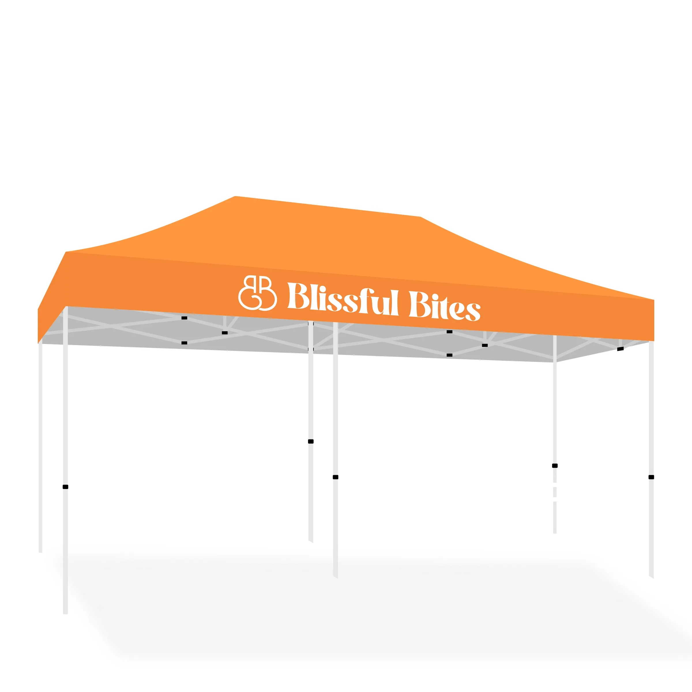 10' X 20' Tent w/ Full Color Canopy 6