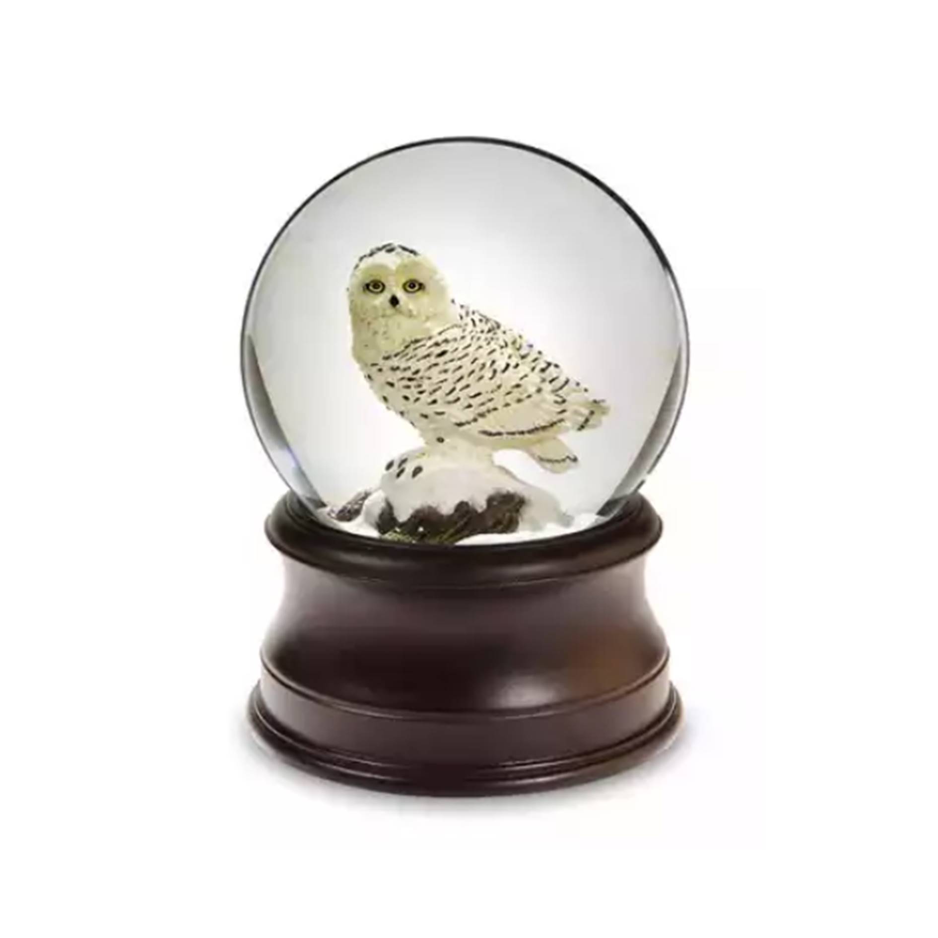 Custom Music Box Owl Snow Globe 2