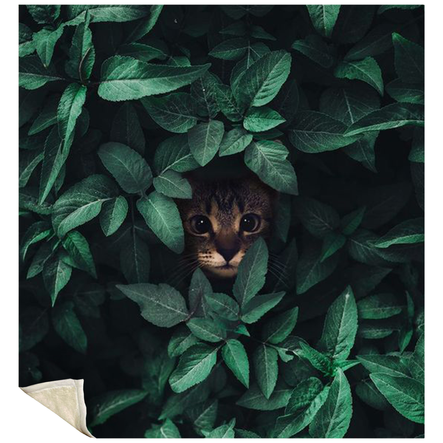 50" x 60" Silk Touch Sherpa Sublimation Blanket 420 GSM 3