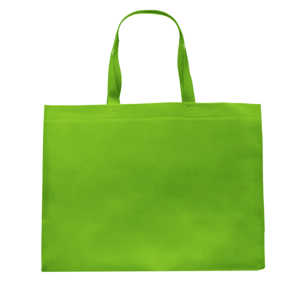 Pegasus Delhi Jumbo Size Tote Bag 47