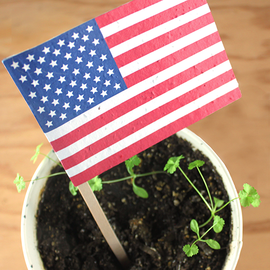 American Seed Paper Promotional Flags 5