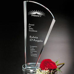 Merit Award 2