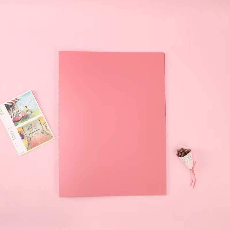 Heavy-Duty Polypropylene Folder 1