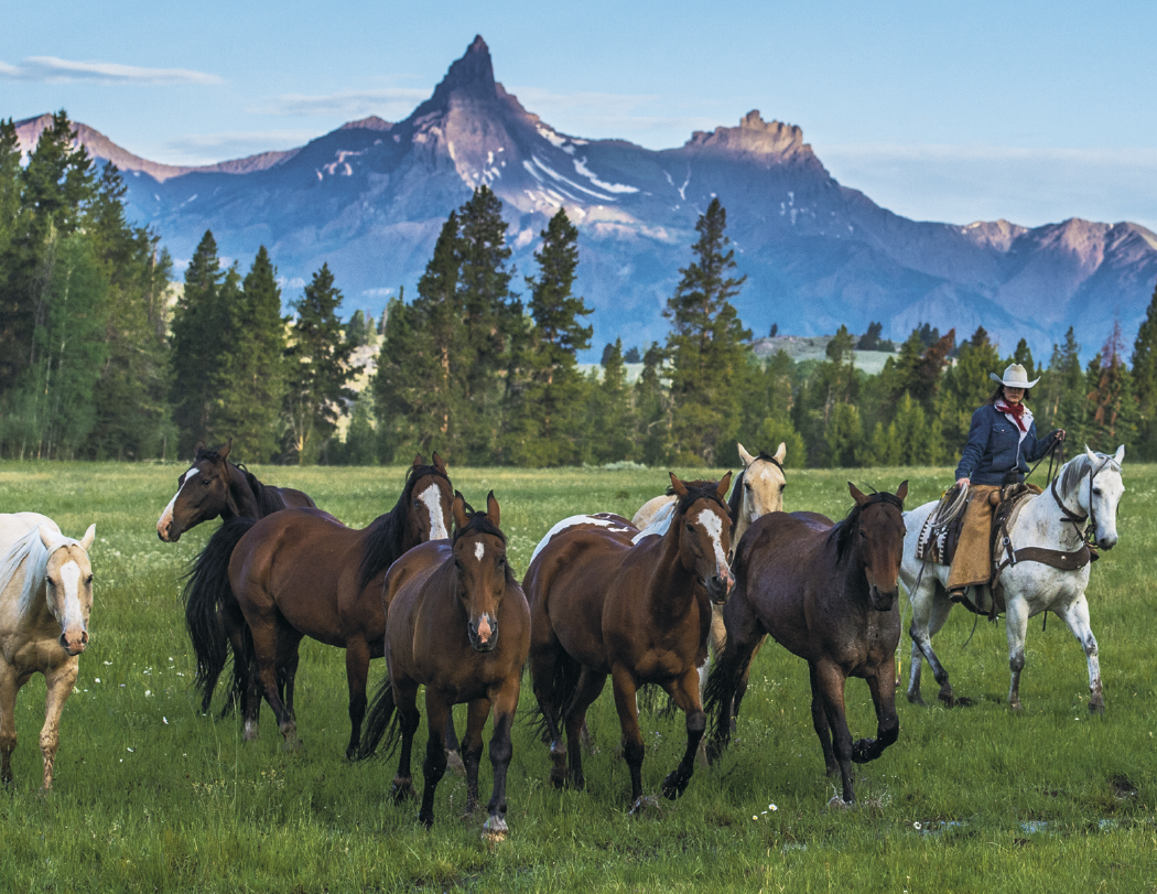 Triumph® Calendars Visions of the West Calendar 5