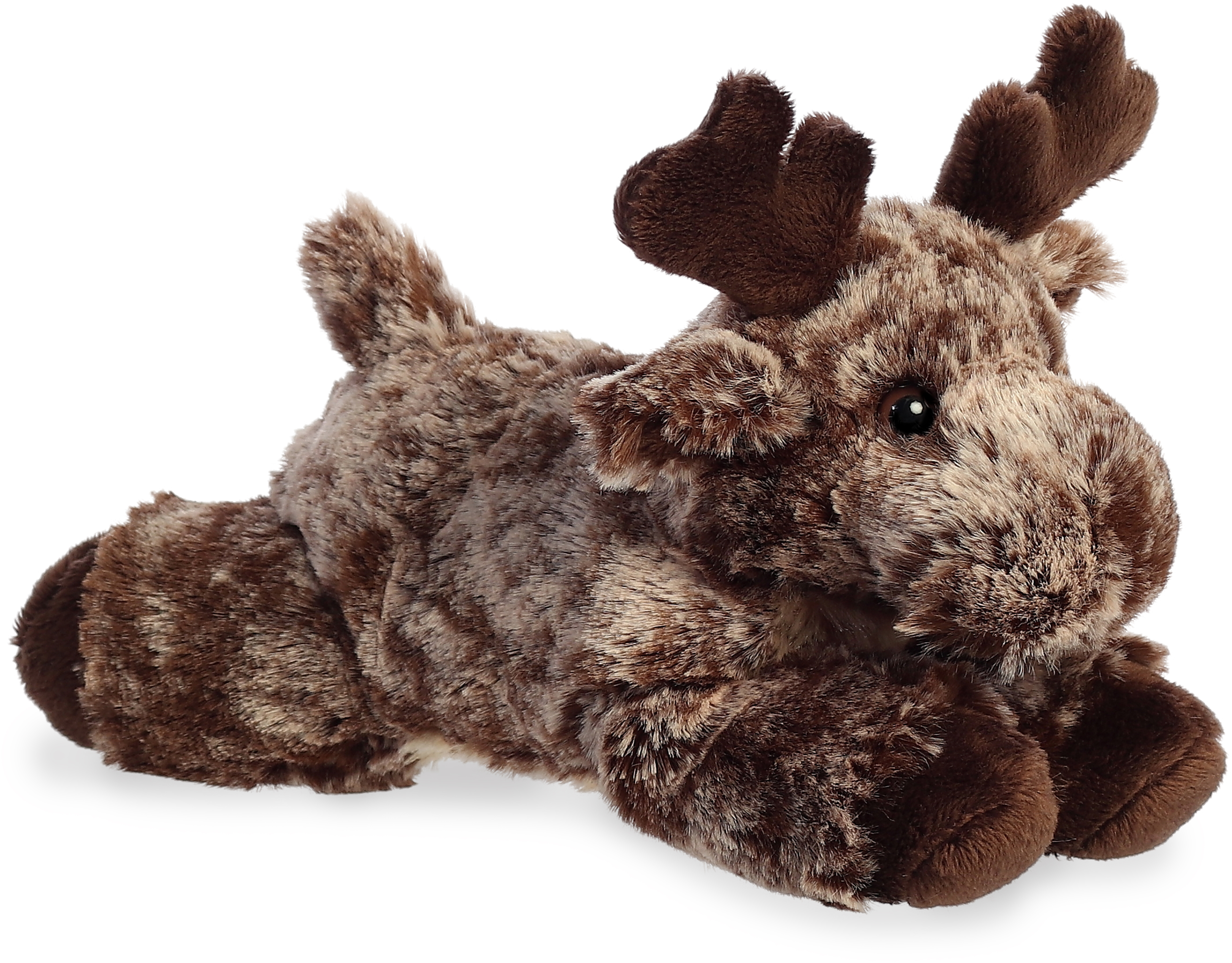 8" Maia Moose 1
