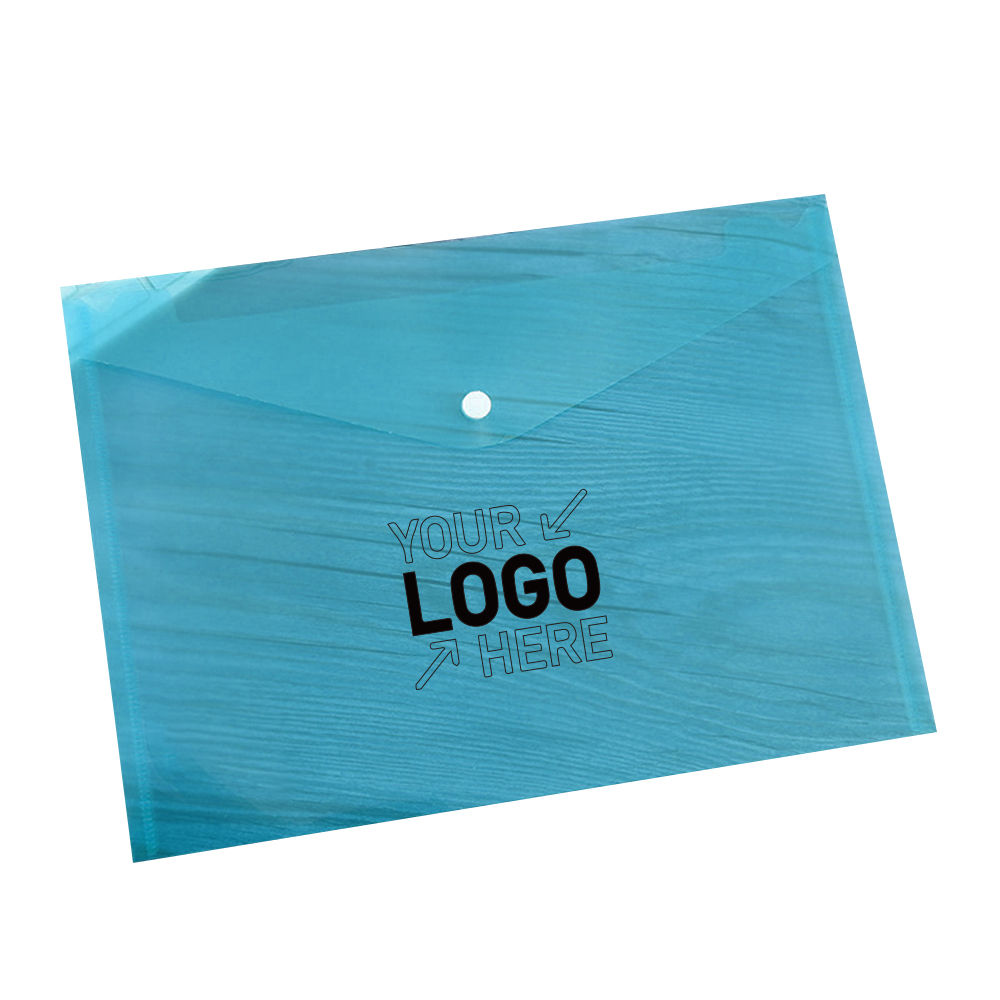 Transparent Snap Document Bag 2