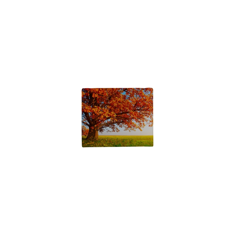 8" x 10" Gallery Print 2