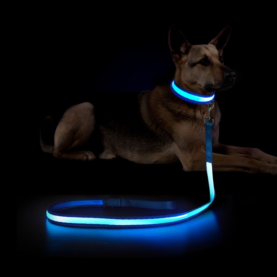 Dog Leash 5