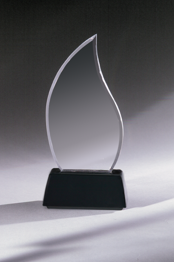Acrylic Award 4