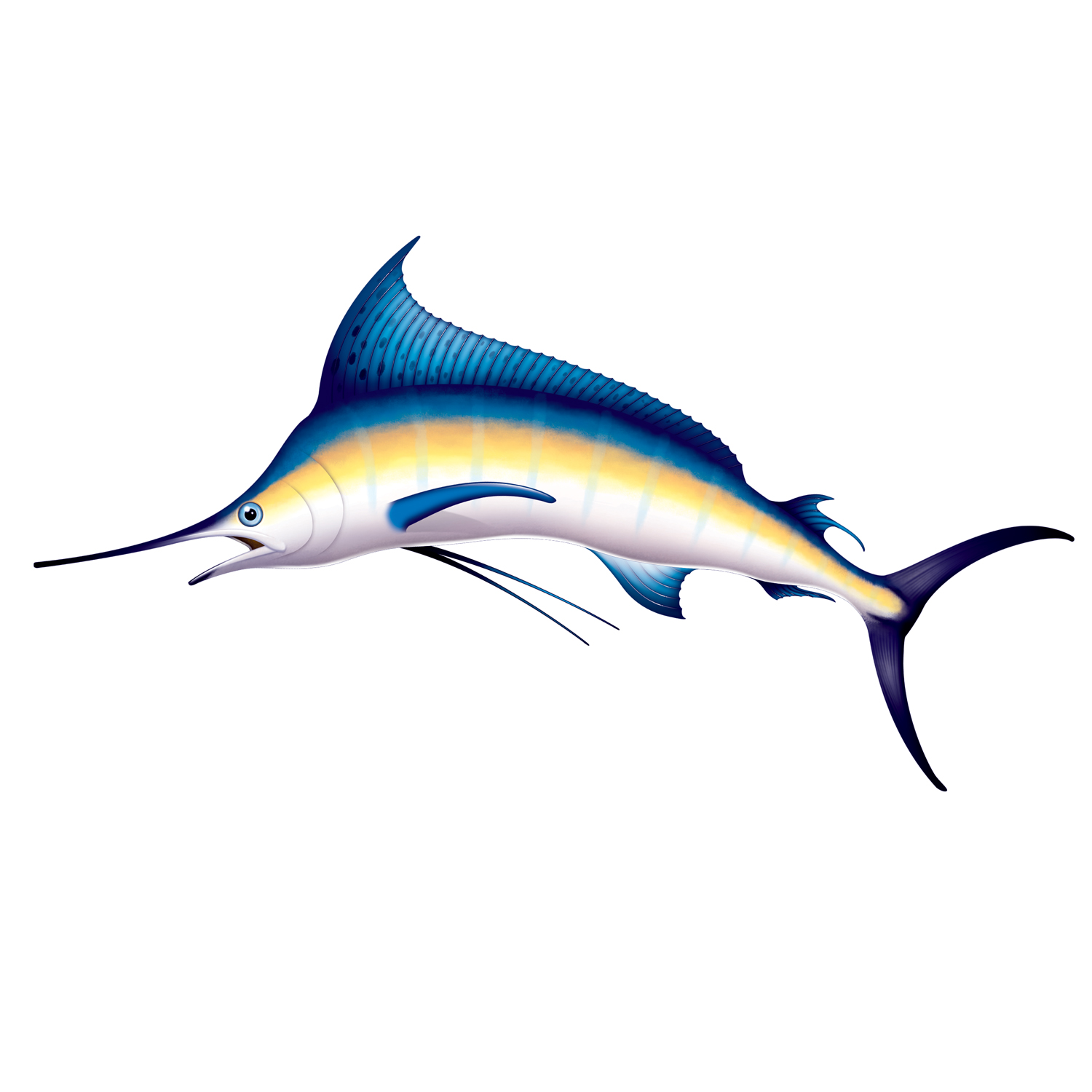 Marlin Party Prop