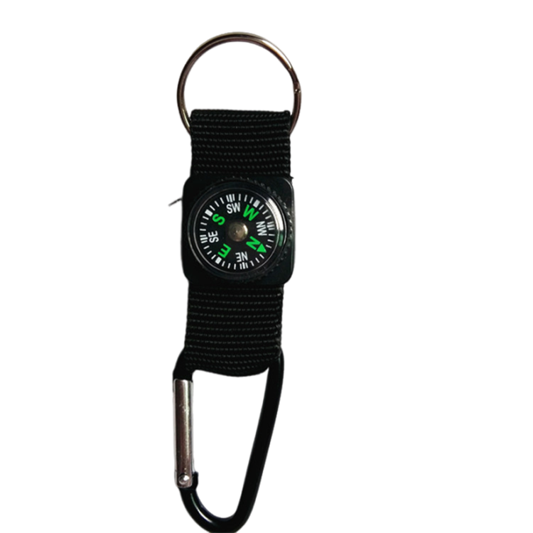 Lanyard with a Caompass and Carabiner 2