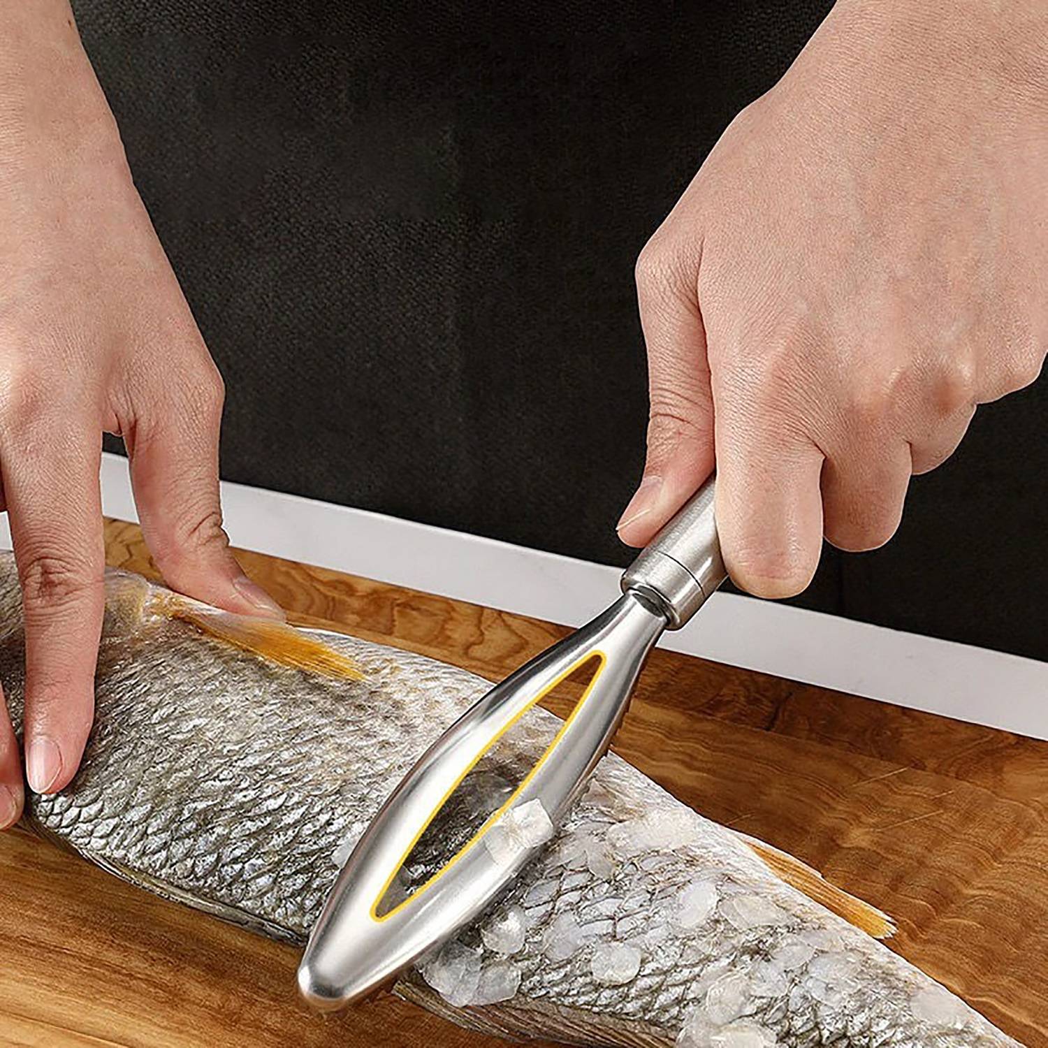 Stainless Steel Fish Scale Remover 1