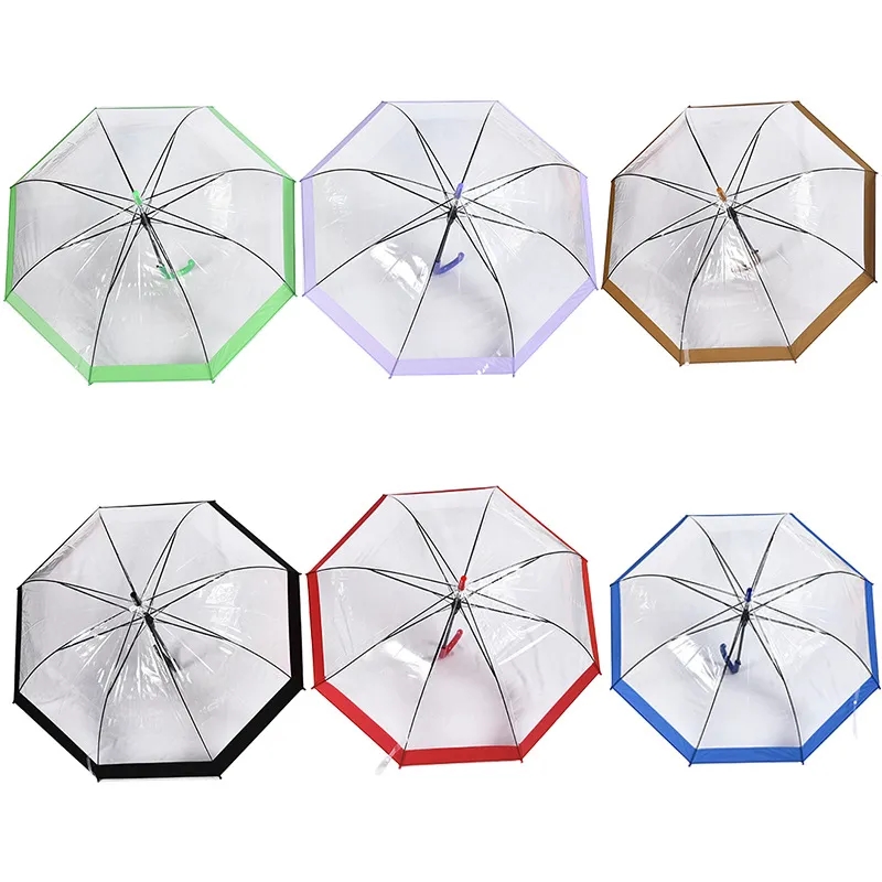 Clear and Transparent Umbrella 5