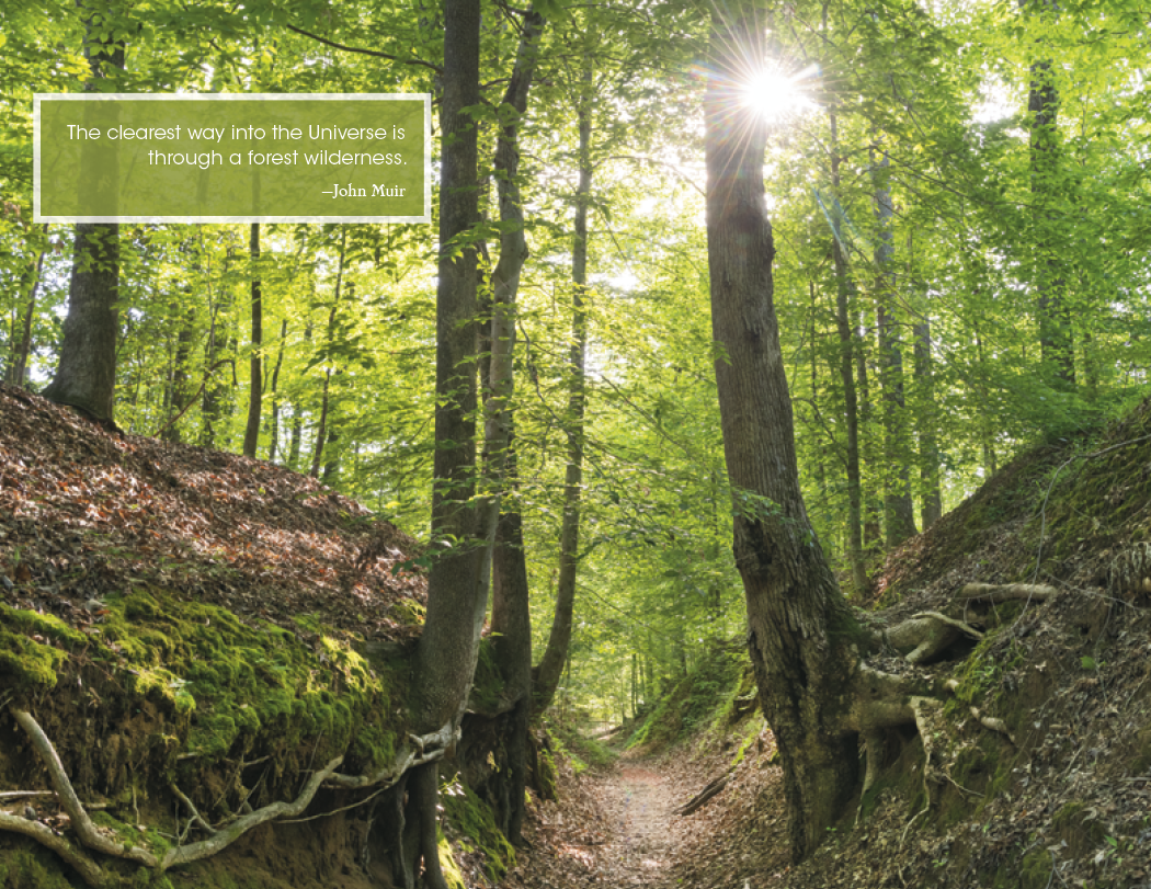 Good Value™ Inspirations for Life - Window Calendar 34
