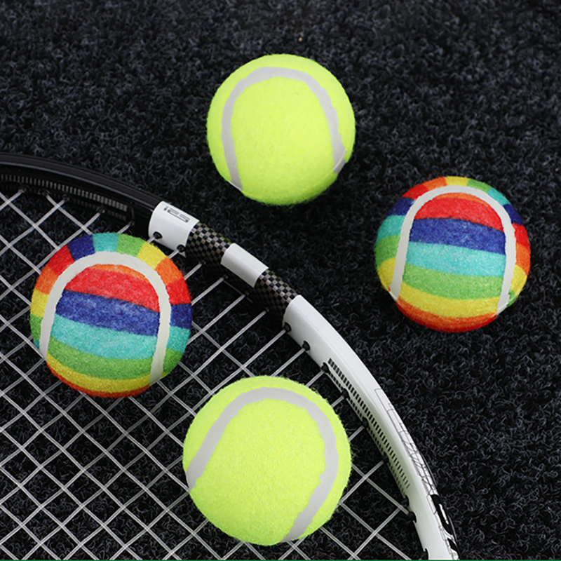 Iridescent Pet Toy Squeaky Tennis Ball 4