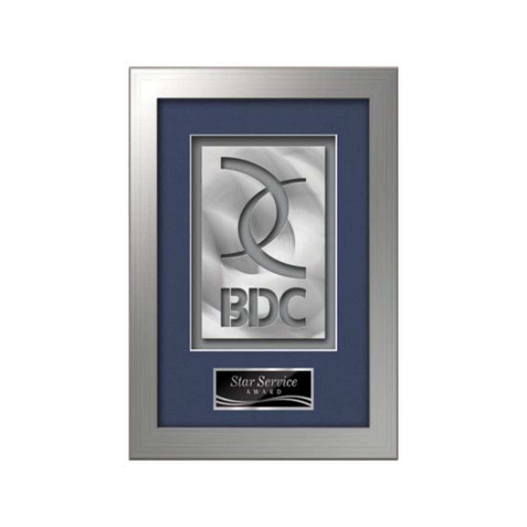 Eldridge Aquashape™ Award - Silver 3