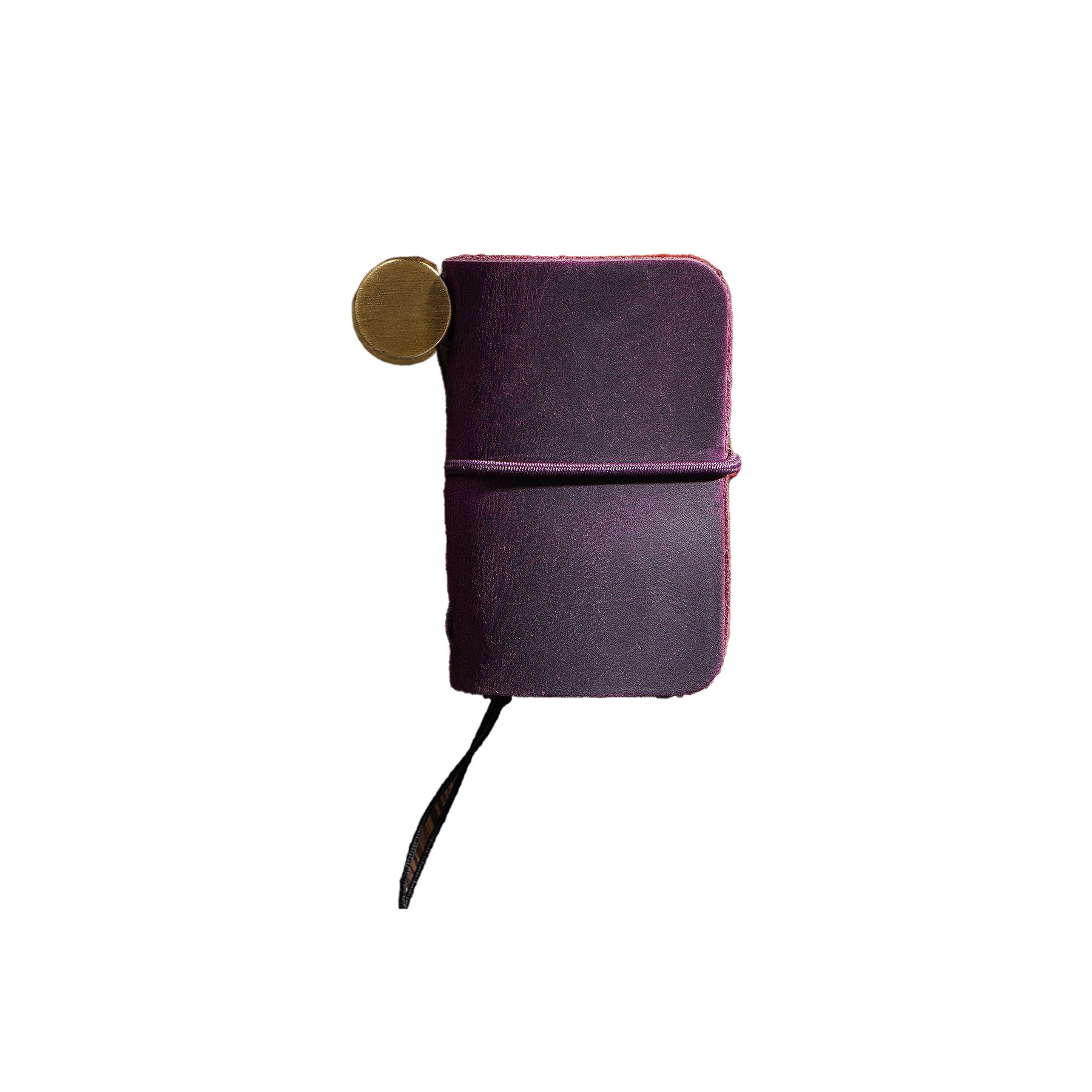 Mini Traveler's Notebook 2