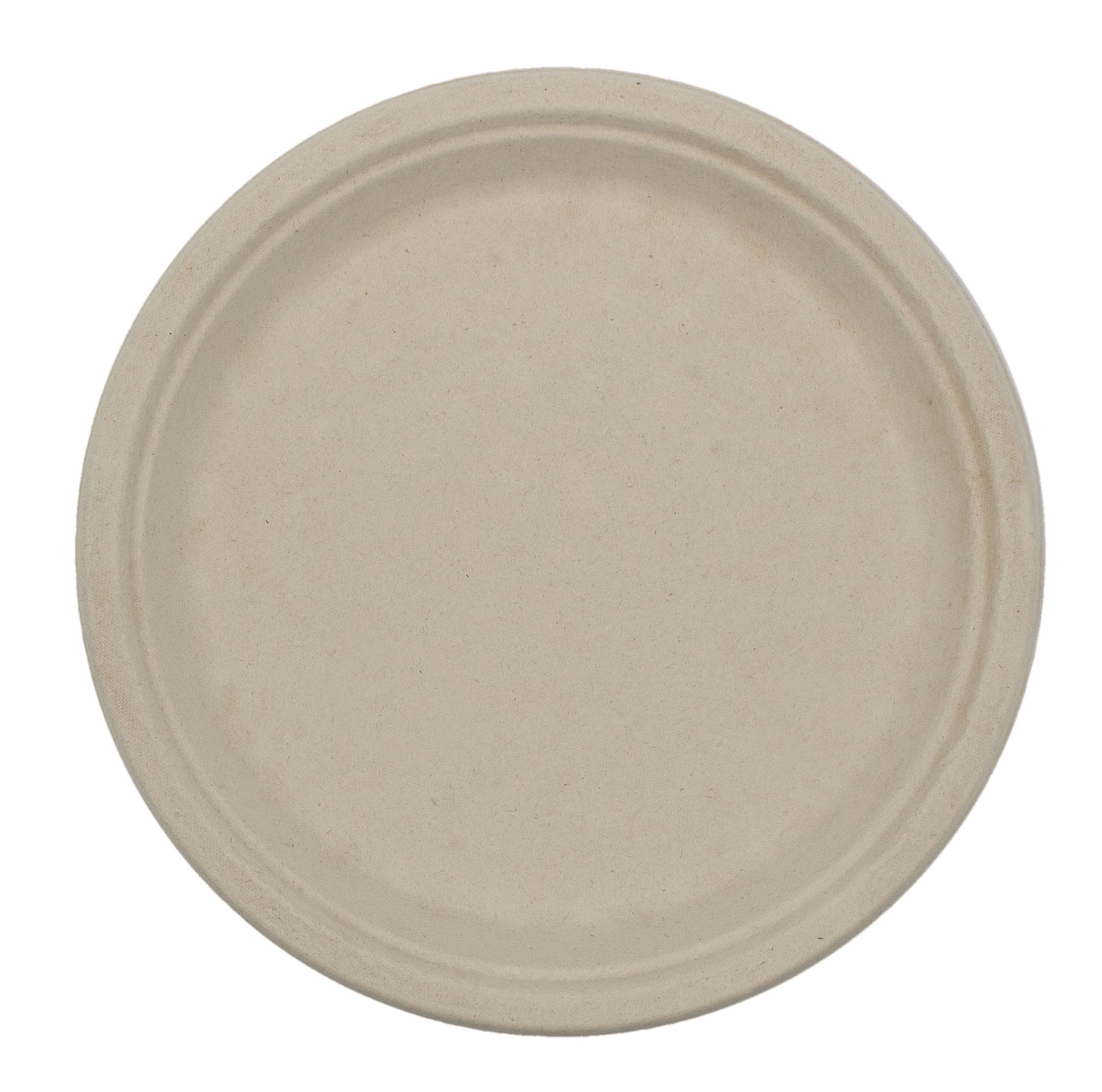 10" Eco Friendly Plate - High Line 2