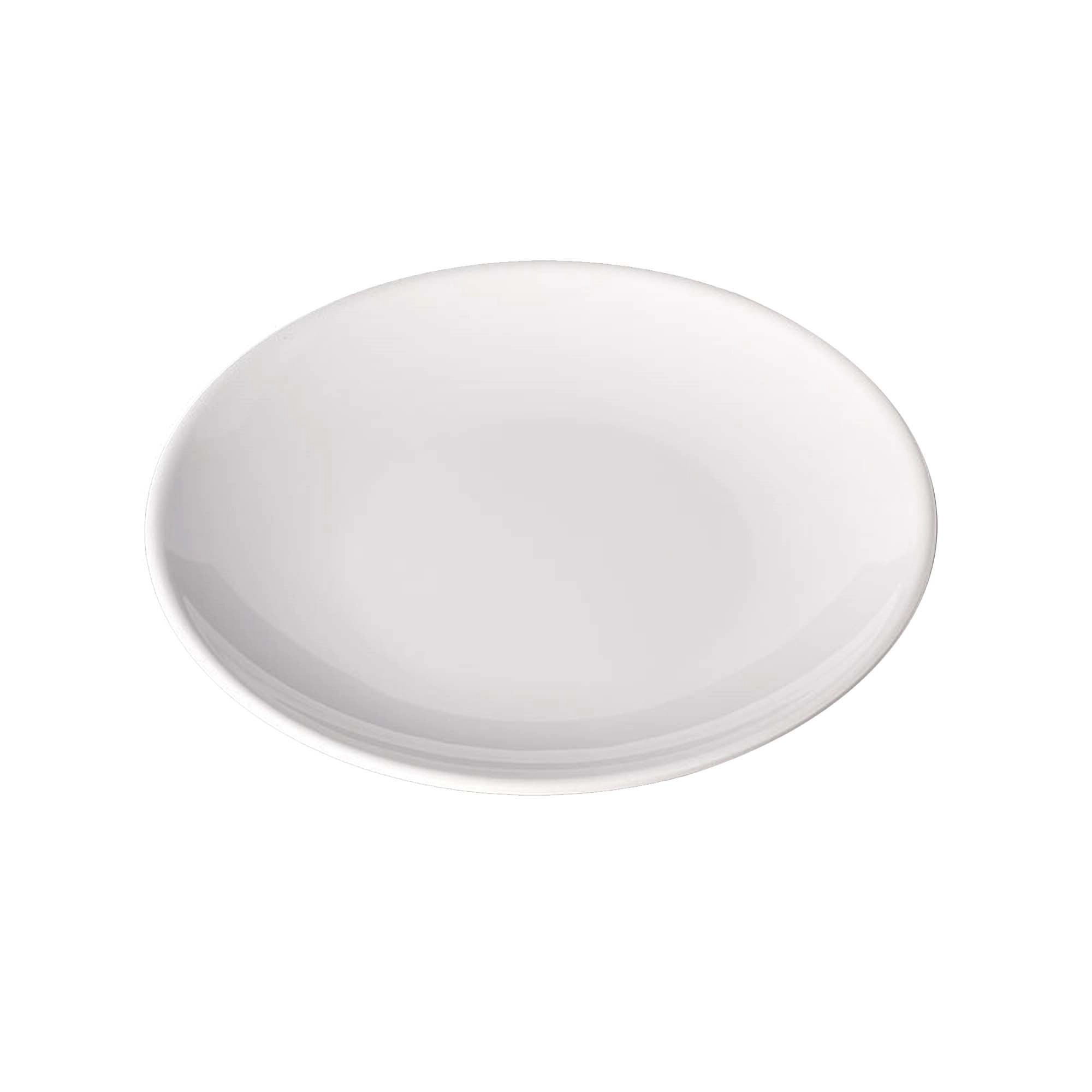 10 Inch Melamine Dinner Plate 4