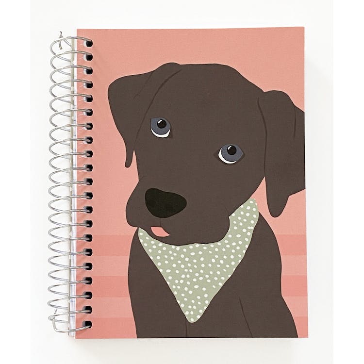 Fat Books - 2 Covers 150 Sheets 5.5" x 4" 2