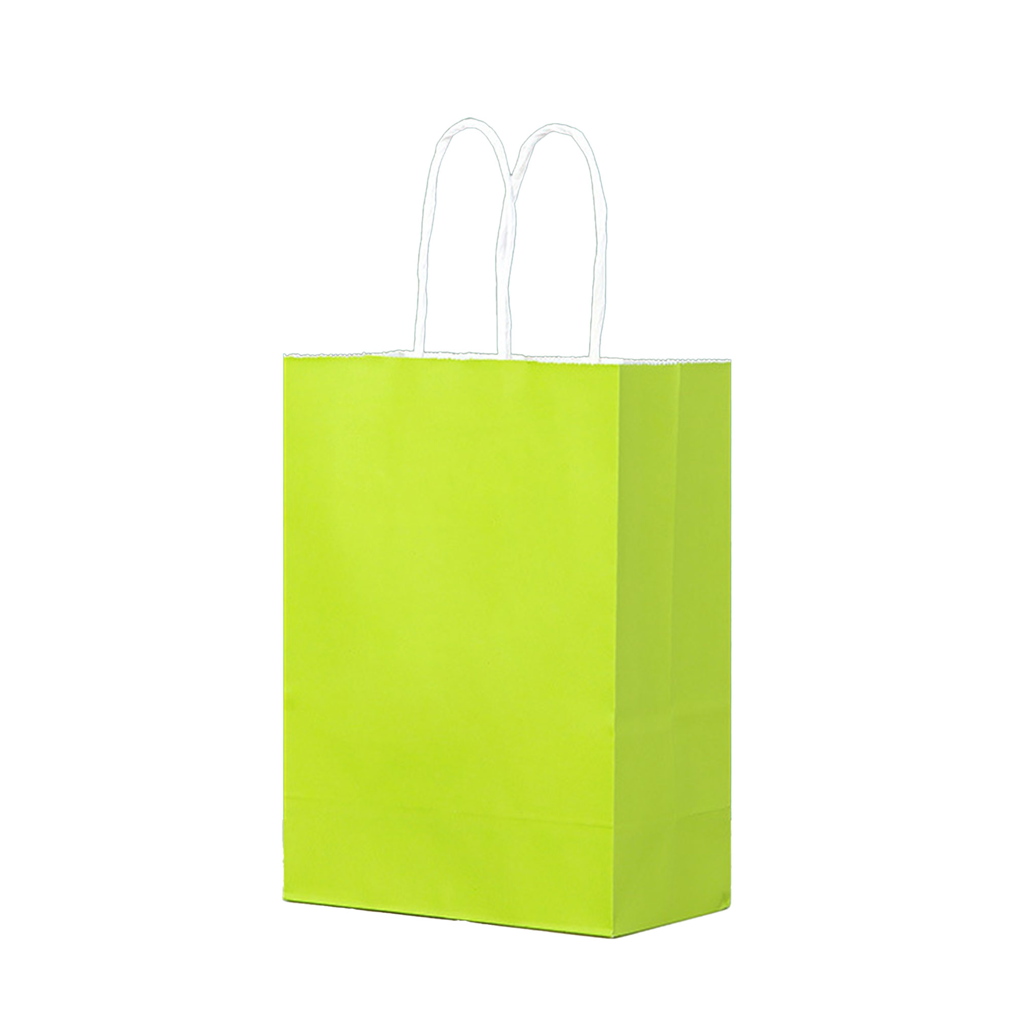 Multipurpose Kraft Handbags 6