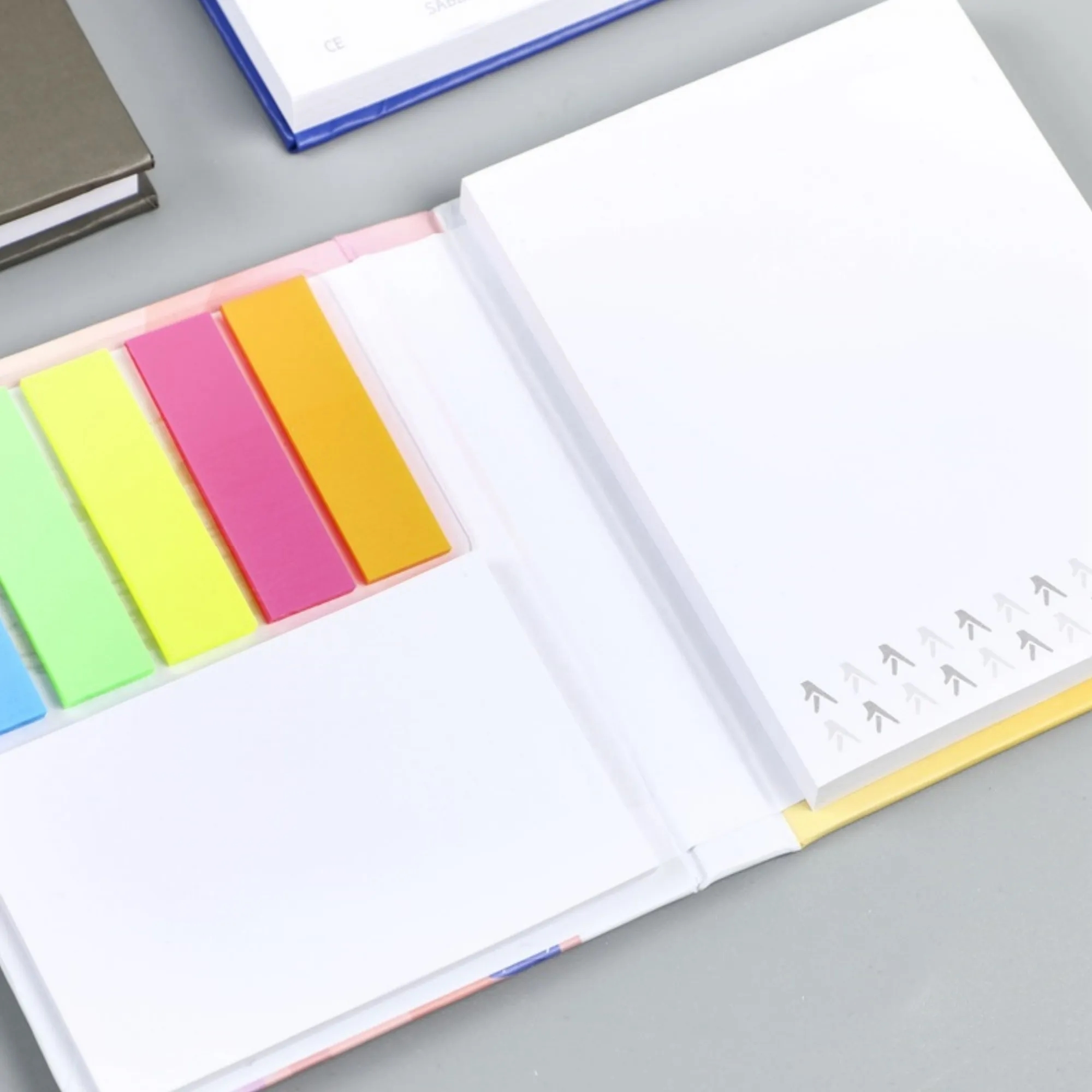 Full Color Sticky Notebook Memo Set 2