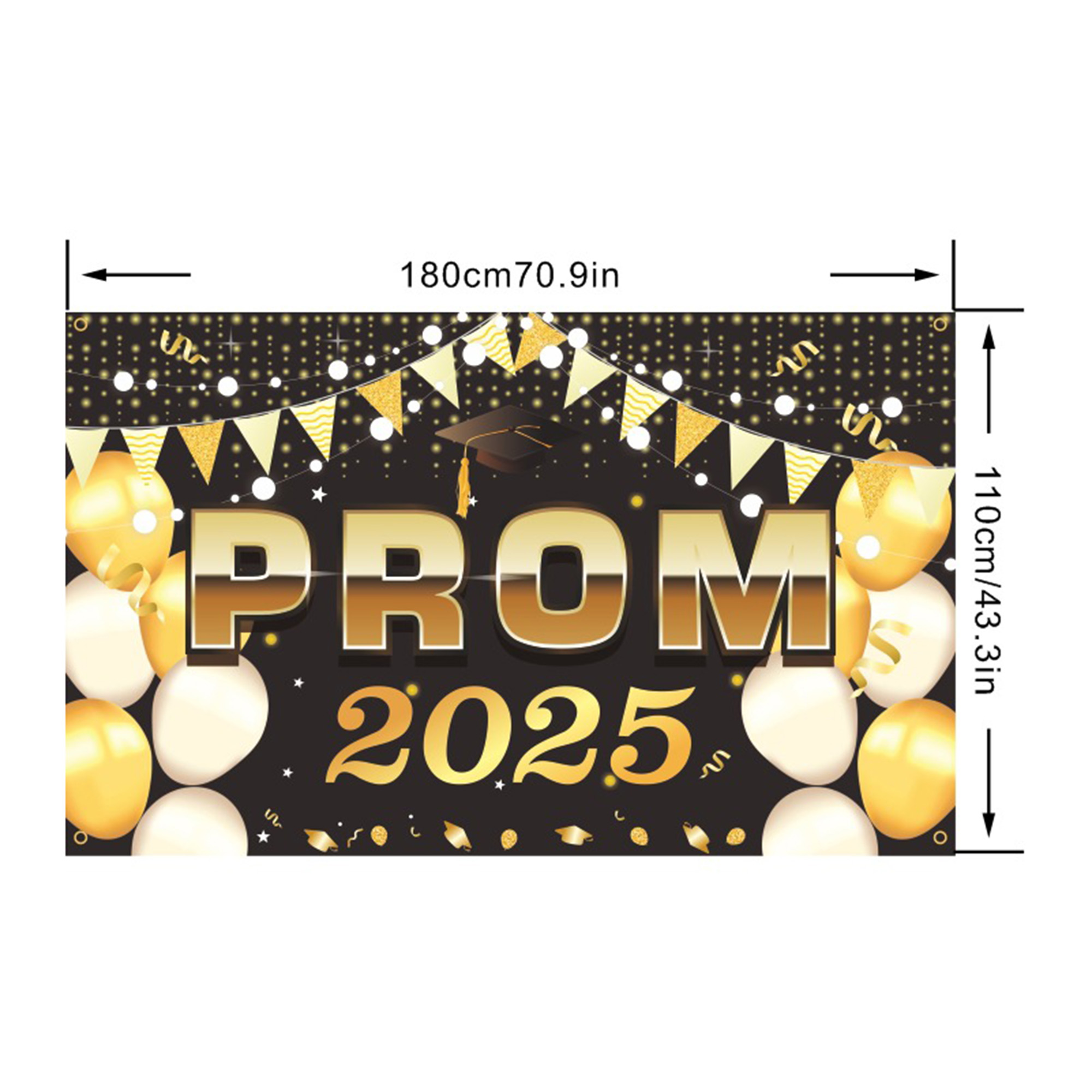 Graduation Party Decoration 2