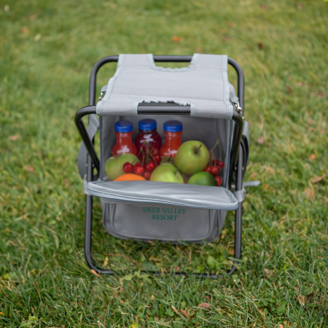 Riverbend Foldable Cooler Backpack & Chair 1