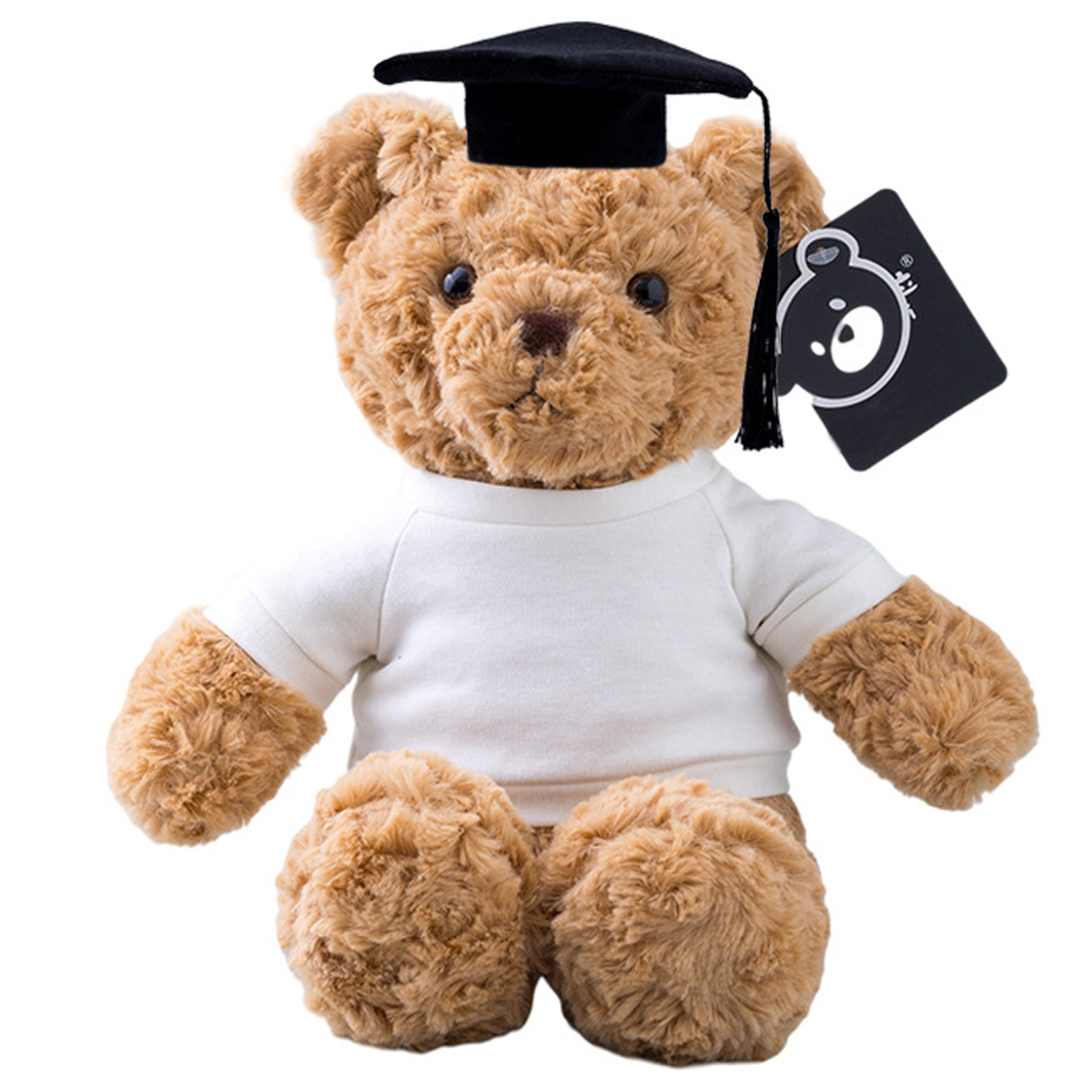 Polypropylene Fiber Graduation Ceremony Teddy Bear Doll 7