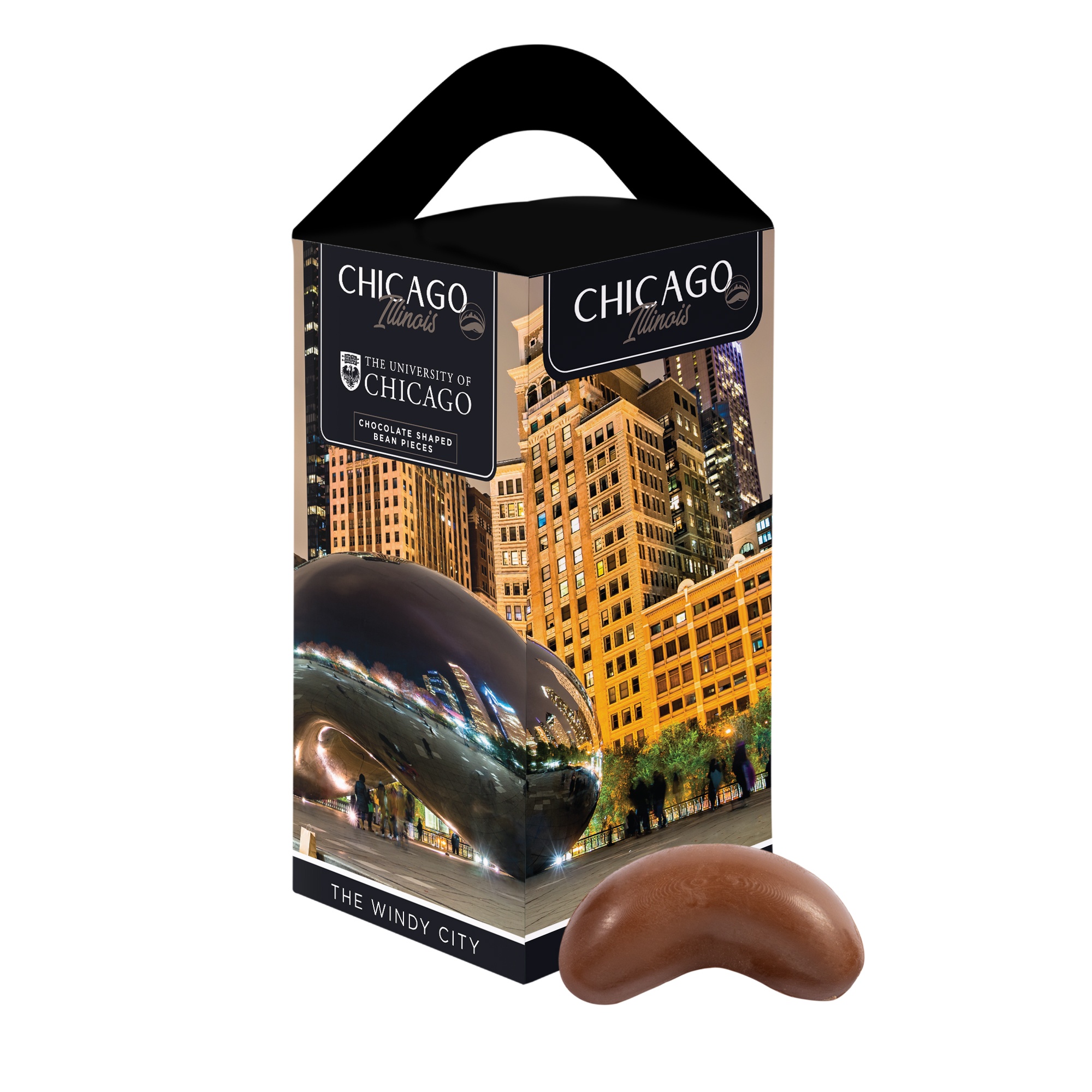 Chicago Souvenir Tote Box 1