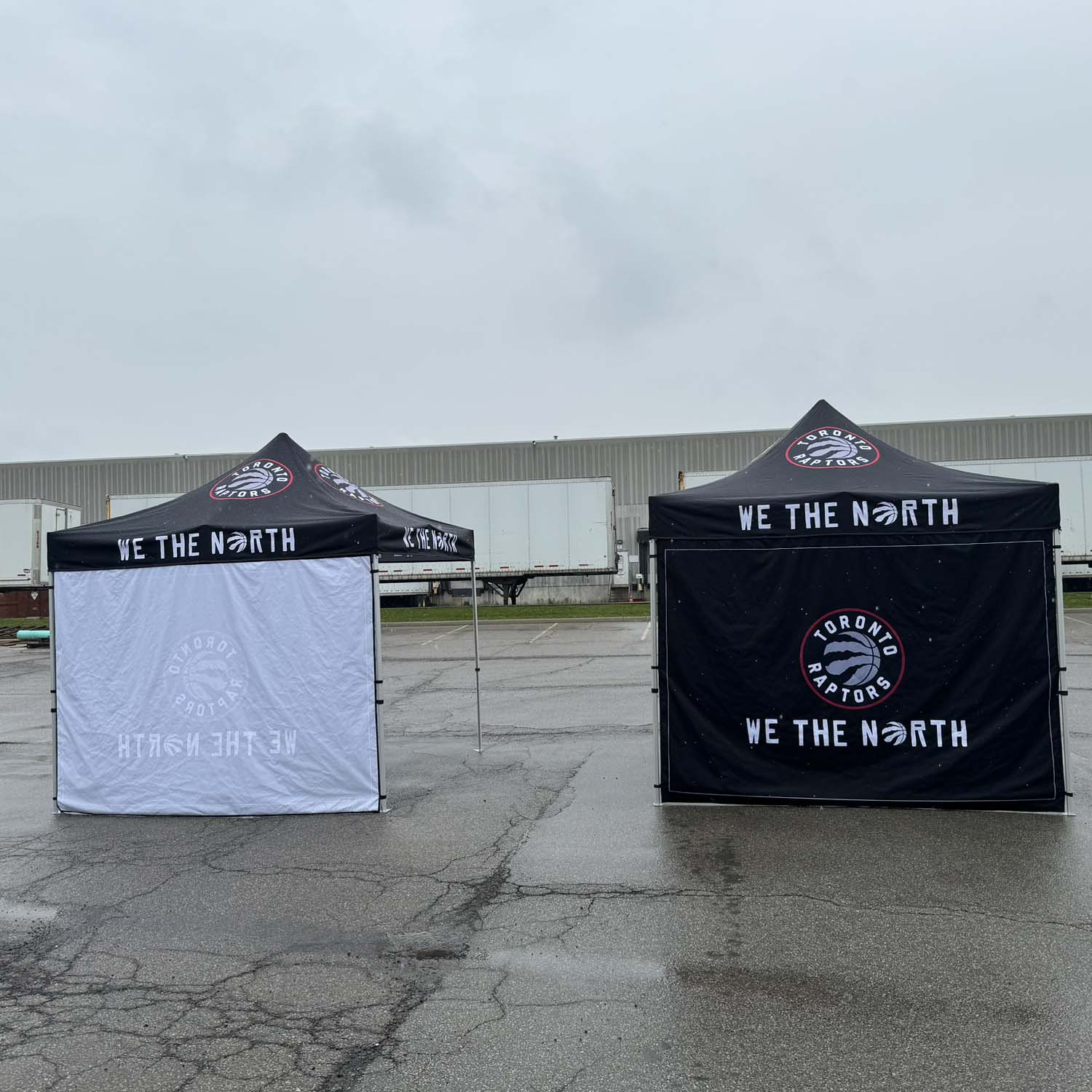 24 Hr Express Ship - Full Back Wall for 10x10 Tent Kit, Sublimated, Single Sided Print 5