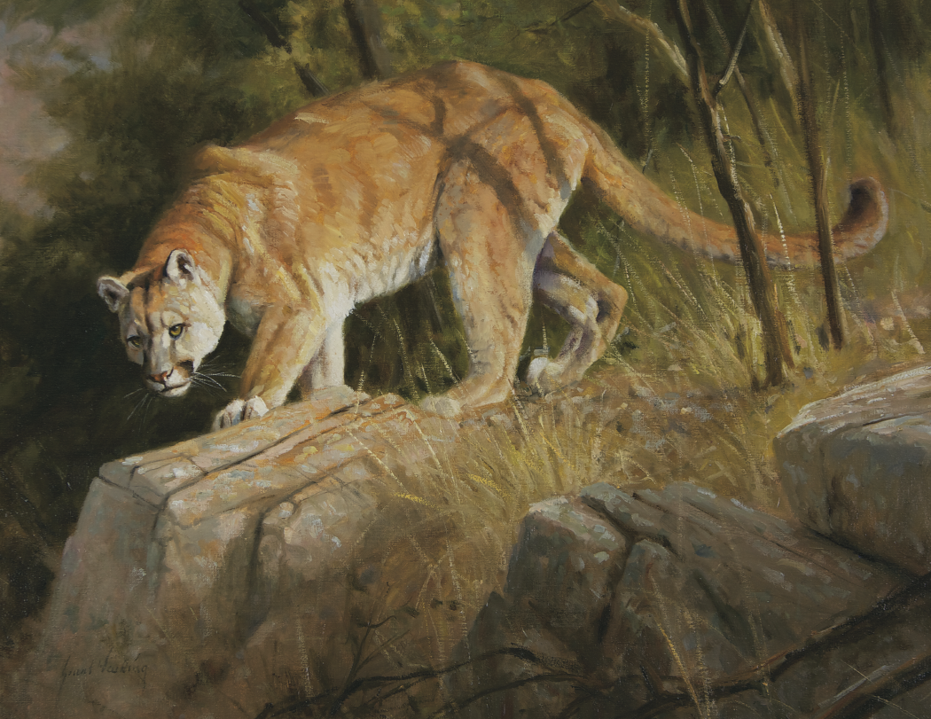 Triumph® Calendars Wildlife Art Calendar 23