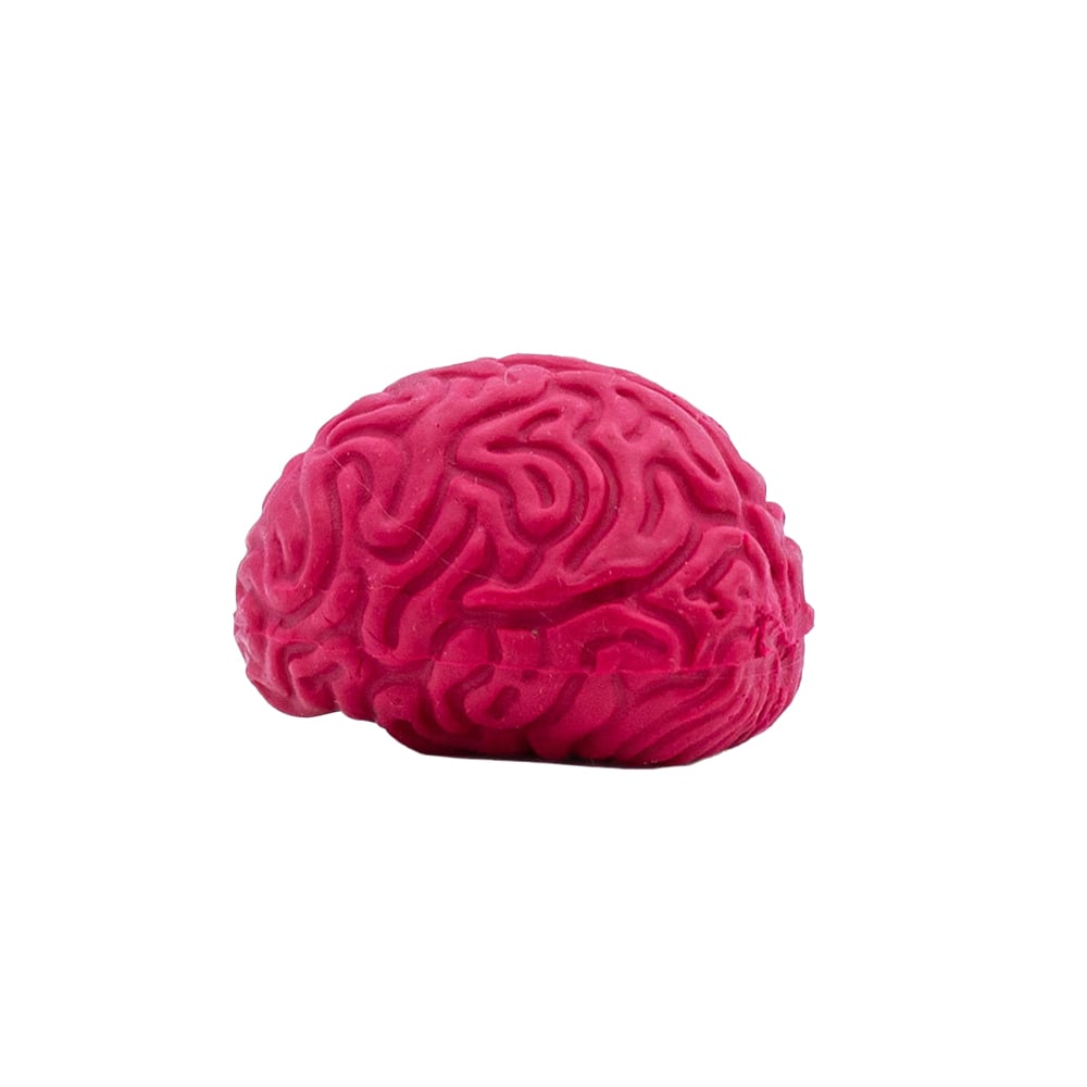 Pencil-Top Eraser Brain 12