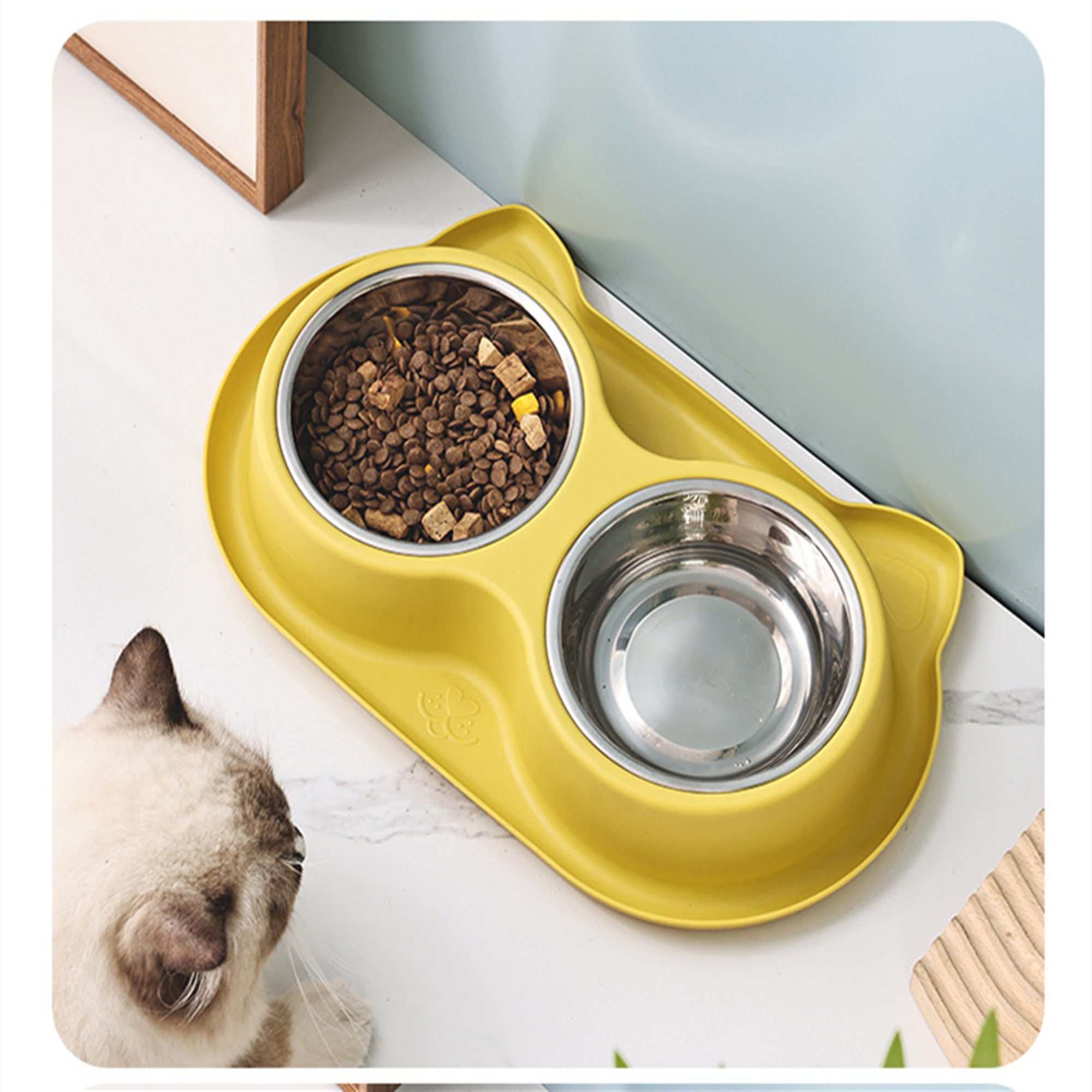 Water And Food Feeder Bowls With Silicone Mat 3