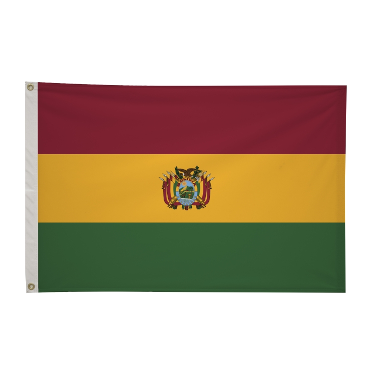 2' x 3'International Flag 60