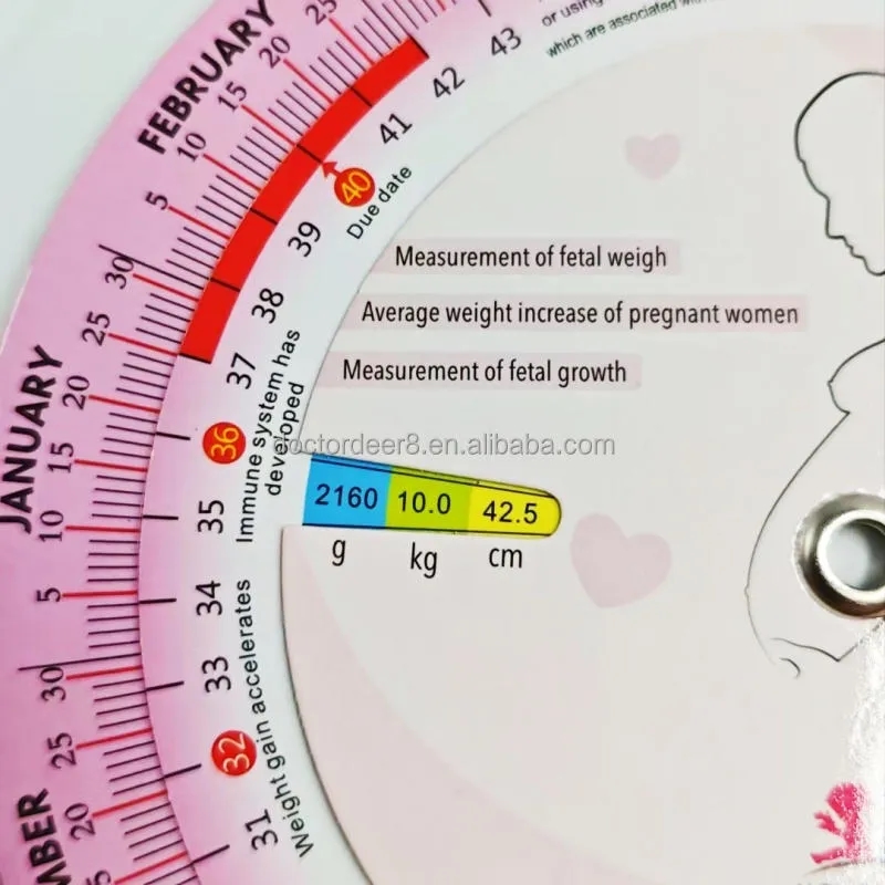 4.25 Inch Pregnancy Wheel 2